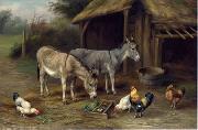 unknow artist Poultry 122 oil painting reproduction